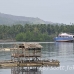 bunaken_h_0012_sul1454.jpg